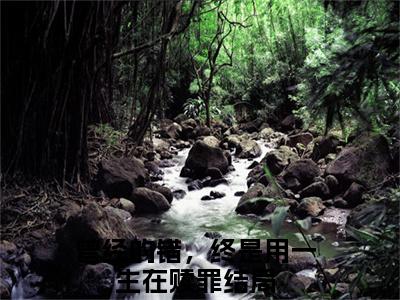 慕容岁安楚宴知曾经的错，终是用一生在赎罪全文免费阅读_慕容岁安楚宴知无弹窗最新章节