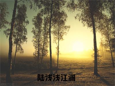 陆浅浅江渊(陆浅浅江渊)全文免费阅读无弹窗大结局_陆浅浅江渊免费阅读_笔趣阁（陆浅浅江渊）