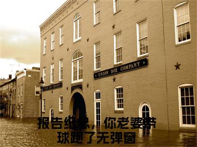 纪君陶裴音全文免费在线阅读_报告纪总，你老婆带球跑了全文免费阅读无弹窗大结局