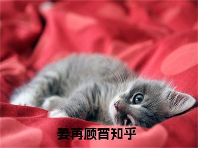 姜苒顾宵小说（那一夜的意外，她用一生偿还）全文免费阅读无弹窗_（那一夜的意外，她用一生偿还）姜苒顾宵最新章节列表_笔趣阁（姜苒顾宵）