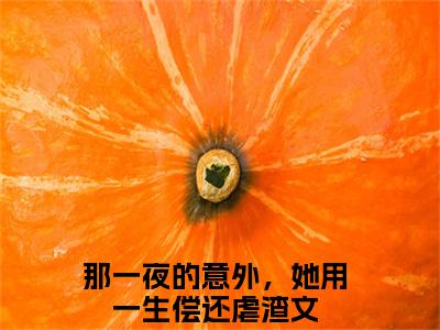 姜苒顾宵（那一夜的意外，她用一生偿还）全文免费阅读无弹窗_（姜苒顾宵小说免费阅读）最新章节列表笔趣阁