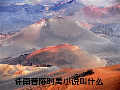 许南音陈时禹正版小说全文阅读 许南音陈时禹全文免费完整版