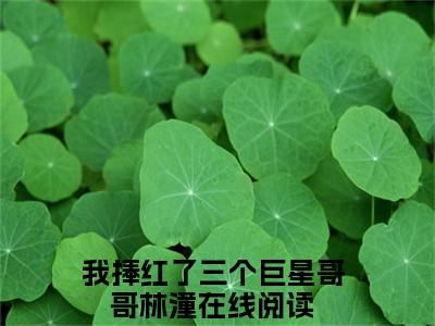 我捧红了三个巨星哥哥林潼推荐免费新书 -我捧红了三个巨星哥哥林潼小说阅读无弹窗