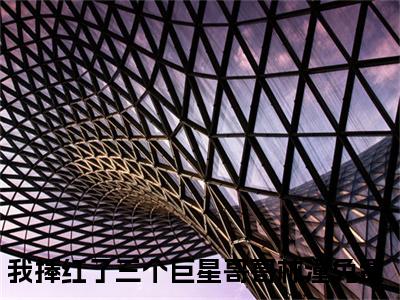 我捧红了三个巨星哥哥林潼小说(我捧红了三个巨星哥哥林潼)全文免费阅读无弹窗大结局_我捧红了三个巨星哥哥林潼小说免费阅读无弹窗最新章节列表