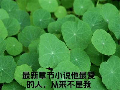 顾宴声乔岁岁小说全文免费阅读小说他最爱的人，从来不是我热门小说完整版阅读