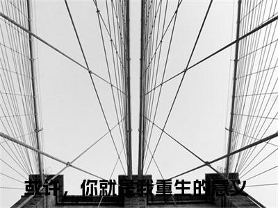 傅栩庭卓若云（或许，你就是我重生的意义最新章节）在线阅读-免费小说傅栩庭卓若云全文阅读