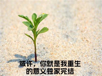 主角为或许，你就是我重生的意义的小说（傅栩庭卓若云）无弹窗大结局-最新小说傅栩庭卓若云全文阅读最新章节列表_笔趣阁