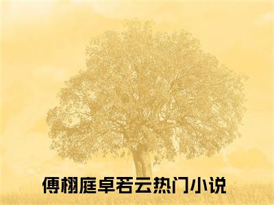 傅栩庭卓若云全文免费阅读_（傅栩庭卓若云）或许，你就是我重生的意义最新小说_笔趣阁