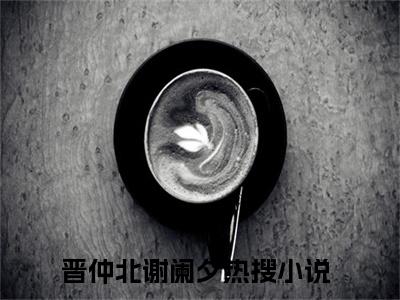晋仲北谢阑夕（晋仲北谢阑夕）完结版小说-晋仲北谢阑夕小说全文阅读