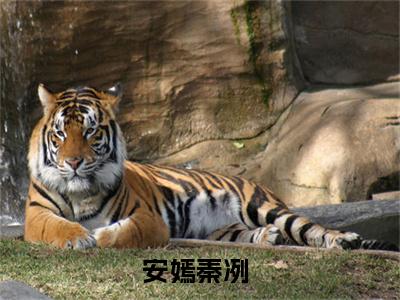 （安嫣秦冽）小说全文免费阅读-微小说（安嫣秦冽）完整版阅读