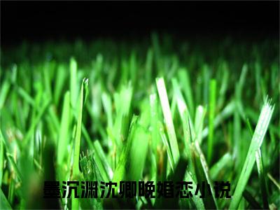 热度超高墨沉渊沈卿晚小说-小说完整版全文资源阅读