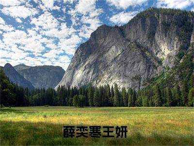 美文薛奕寒王妍大结局小说-小说（薛奕寒王妍）免费分享