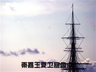 秦嘉玉夏卫庭小说全文（如果可以，我再也不要爱你）在线阅读-秦嘉玉夏卫庭全文免费阅读无弹窗大结局