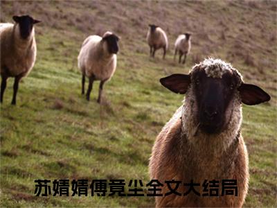 苏婧婧傅竟尘阅读无弹窗大结局_苏婧婧傅竟尘穿越小说免费阅读_笔趣阁