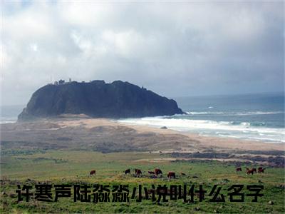 许寒声陆淼淼小说全文免费阅读无弹窗大结局-落魄后，雇主竟是前男友 小说在哪里可以看