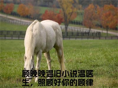 温医生，照顾好你的顾律师最新章节（顾晚晚温旧）全文免费阅读无弹窗大结局_顾晚晚温旧小说全文免费阅读正版无弹窗_笔趣阁（温医生，照顾好你的顾律师）