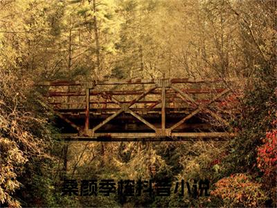 桑颜季榷（桑颜季榷）全文免费阅读无弹窗大结局_桑颜季榷小说桑颜季榷最新章节列表_笔趣阁(桑颜季榷）
