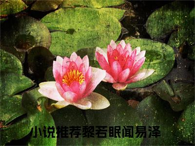 黎若眠闻易泽小说阅读 黎若眠闻易泽全文免费无广告