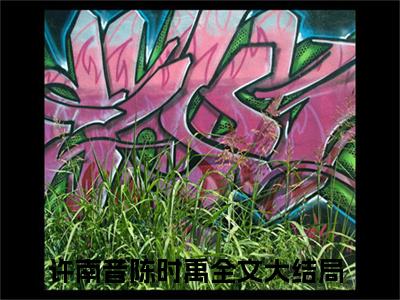 闪婚豪门：相亲对象是大佬（许南音陈时禹）小说全文免费阅读正版无弹窗 许南音陈时禹全文无弹窗阅读