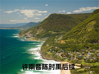 闪婚豪门：相亲对象是大佬（许南音陈时禹）免费阅读无弹窗大结局-许南音陈时禹完整版最新阅读
