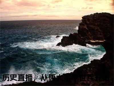 历史直播，从唐太宗李世民开始小说全文大结局-历史直播，从唐太宗李世民开始（钱多多李世民）小说全文免费阅读