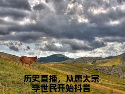 钱多多李世民（历史直播，从唐太宗李世民开始）经典小说全文免费阅读无弹窗_（历史直播，从唐太宗李世民开始）小说全文免费阅读最新章节_笔趣阁