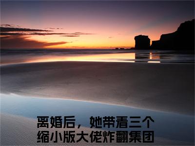 洛熙冷清寒小说全文免费阅读无弹窗大结局_（离婚后，她带着三个缩小版大佬炸翻集团免费阅读无弹窗）最新章节列表_笔趣阁
