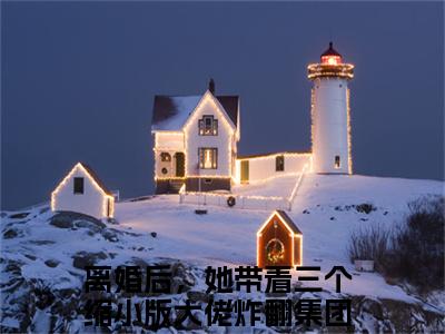 离婚后，她带着三个缩小版大佬炸翻集团（离婚后，她带着三个缩小版大佬炸翻集团）全文免费阅读无弹窗_洛熙冷清寒全文免费阅读最新章节大结局_