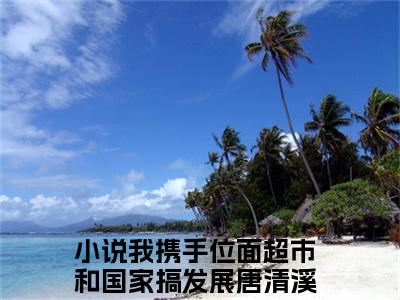我携手位面超市和国家搞发展唐清溪（我携手位面超市和国家搞发展唐清溪）小说全文免费阅读无弹窗大结局_（我携手位面超市和国家搞发展唐清溪）小说全文免费阅读最新章节列表笔趣阁