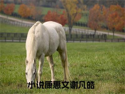 康惠文谢凡皓小说大结局完整版阅读，康惠文谢凡皓小说全文在线阅读