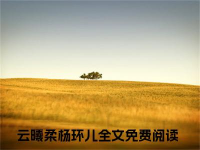 云曦柔杨环儿（团宠小奶包，暴君爹爹偷听我心声）小说全文免费阅读正版无弹窗，云曦柔杨环儿免费阅读