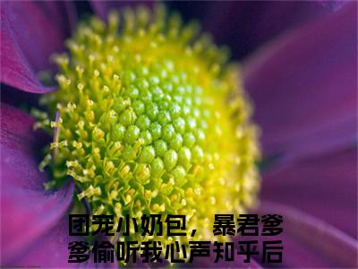 云曦柔杨环儿热门小说在线阅读 团宠小奶包，暴君爹爹偷听我心声全网推荐（云曦柔杨环儿）全文