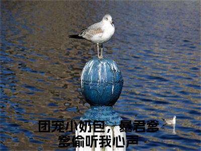 云曦柔杨环儿全文免费阅读无弹窗大结局_（团宠小奶包，暴君爹爹偷听我心声无弹窗）云曦柔杨环儿全文阅读最新章节列表笔趣阁