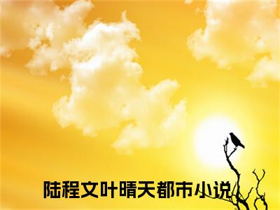 陆程文叶晴天（陆程文叶晴天）全文免费阅读无弹窗大结局_陆程文叶晴天小说陆程文叶晴天最新章节列表_笔趣阁(陆程文叶晴天）