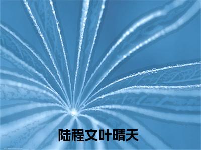陆程文叶晴天全文免费阅读无弹窗-陆程文叶晴天小说全文在线赏析_笔趣阁（陆程文叶晴天）
