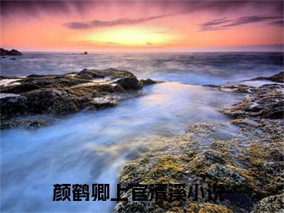 颜鹤卿上官清溪（颜鹤卿上官清溪）全文免费阅读无弹窗_颜鹤卿上官清溪最新小说_笔趣阁（颜鹤卿上官清溪）