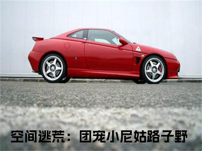 花小念（空间逃荒：团宠小尼姑路子野）免费阅读无弹窗大结局-花小念免费阅读大结局最新章节列表_笔趣阁