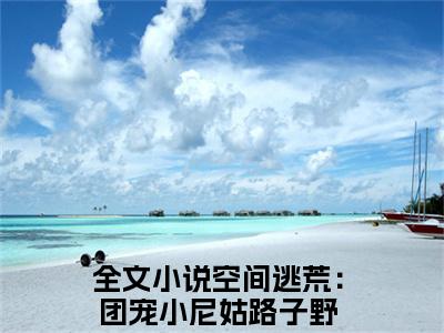 2023年精选热门小说空间逃荒：团宠小尼姑路子野（花小念）-（花小念）空间逃荒：团宠小尼姑路子野免费阅读