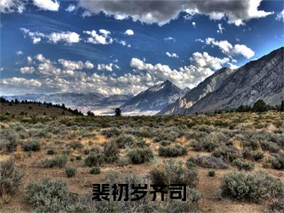 裴初岁齐司（裴初岁齐司）无弹窗小说免费阅读_裴初岁齐司最新章节免费阅读_笔趣阁