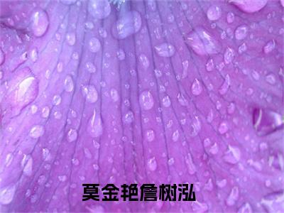莫金艳詹树泓(莫金艳詹树泓)全文阅读无弹窗大结局_莫金艳詹树泓免费阅读无弹窗最新章节列表