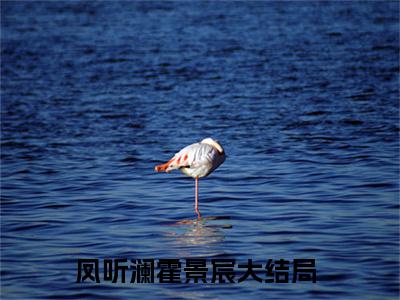 （凤听澜霍景宸）全文无弹窗阅读-小说主角叫什么凤听澜霍景宸