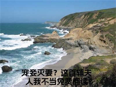 主角是苏青玉云奕霄的小说-宠妾灭妻？这首辅夫人我不当全文无弹窗免费阅读