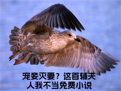 苏青玉云奕霄全网热搜（宠妾灭妻？这首辅夫人我不当）是什么小说,苏青玉云奕霄免费阅读无弹窗
