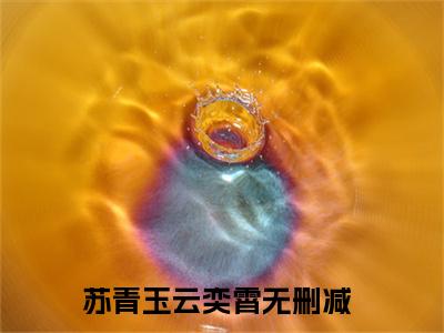 苏青玉云奕霄全文（宠妾灭妻？这首辅夫人我不当）全文免费阅读无弹窗大结局_宠妾灭妻？这首辅夫人我不当免费最新章节列表_笔趣阁
