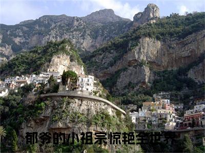 郁爷的小祖宗惊艳全世界（明徵郁少陵）全文免费阅读无弹窗_郁爷的小祖宗惊艳全世界（明徵郁少陵小说完整版）最新章节列表
