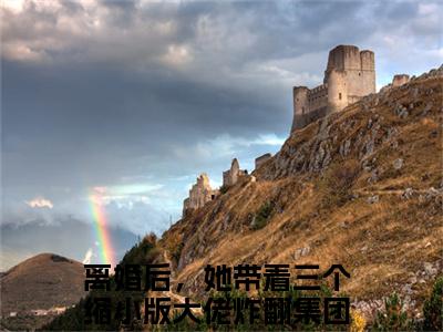 洛熙冷清寒全文免费阅读在线阅读 离婚后，她带着三个缩小版大佬炸翻集团全文免费阅读最新章节列表_笔趣阁