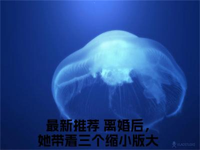 洛熙冷清寒（离婚后，她带着三个缩小版大佬炸翻集团）小说全文免费阅读无弹窗-洛熙冷清寒全章节在线阅读