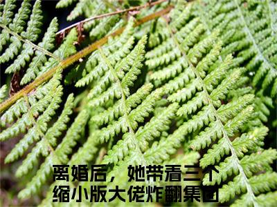 洛熙冷清寒全文免费阅读_洛熙冷清寒（离婚后，她带着三个缩小版大佬炸翻集团免费阅读无弹窗）离婚后，她带着三个缩小版大佬炸翻集团最新章节在线阅读笔趣阁