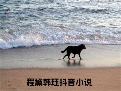 程黛韩珏（程黛韩珏）小说全文免费阅读正版无弹窗_程黛韩珏小说免费阅读全文无弹窗_笔趣阁