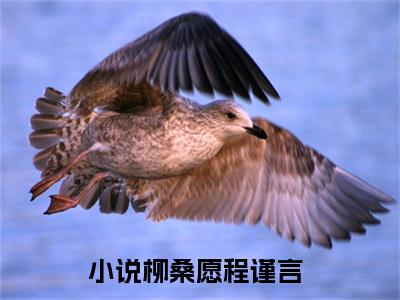 柳桑愿程谨言（柳桑愿程谨言）小说全文免费阅读无弹窗大结局_柳桑愿程谨言（柳桑愿程谨言无弹窗）最新章节列表笔趣阁（柳桑愿程谨言）